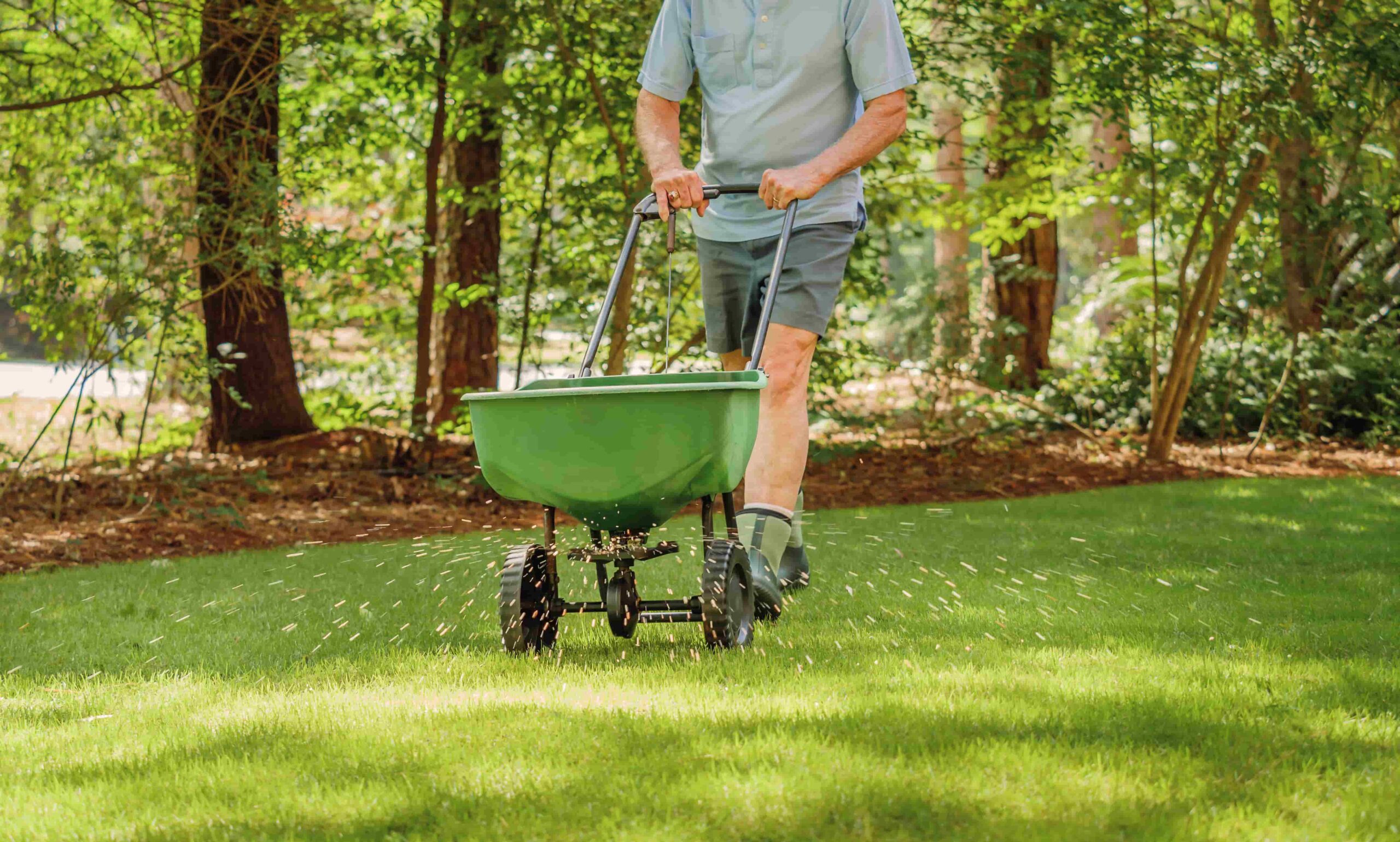 Reinvigorate Your Lawn by Spring Seeding