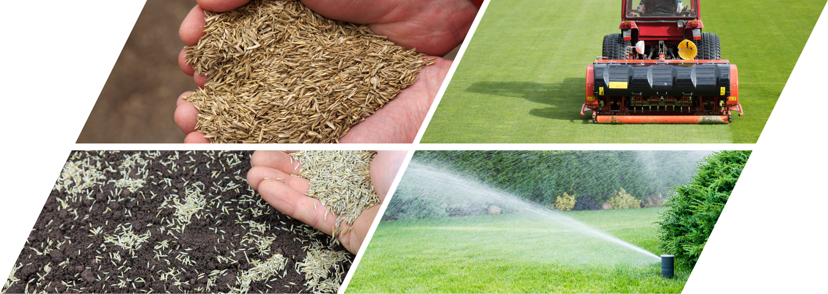 fall-seeding-your-lawn-this-year-organic-turf-trade